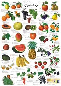 Kartenset-Poster "Früchte"