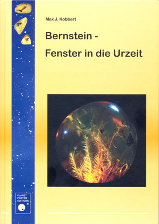 Buch "Bernstein - Fenster in die Urzeit"
