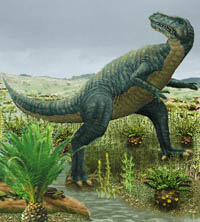 Allosaurus-Carnosauria