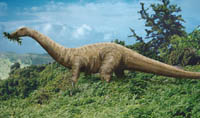 Riojasaurus