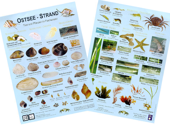 Handkarte Ostsee-Strand 