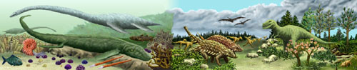 Kreide - Cretaceous
