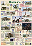 Poster Dinosaurier