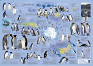 Pinguine