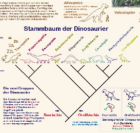 Dinosaurier-Stammbaum